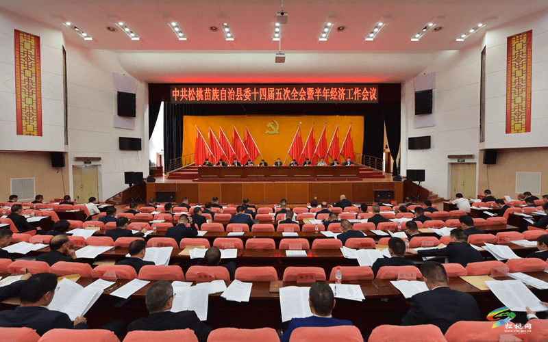 中共松桃苗族自治縣委十四屆五次全會(huì)暨半年經(jīng)濟(jì)工作會(huì)議召開