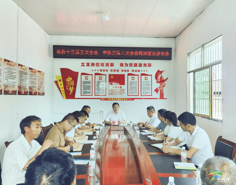 陳琪到長(zhǎng)興堡鎮(zhèn)宣講省委十三屆三次全會(huì)和市委三屆六次全會(huì)精神