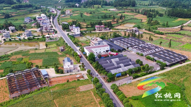 松桃：鄉(xiāng)村公路繪新景?風(fēng)光如畫展新顏