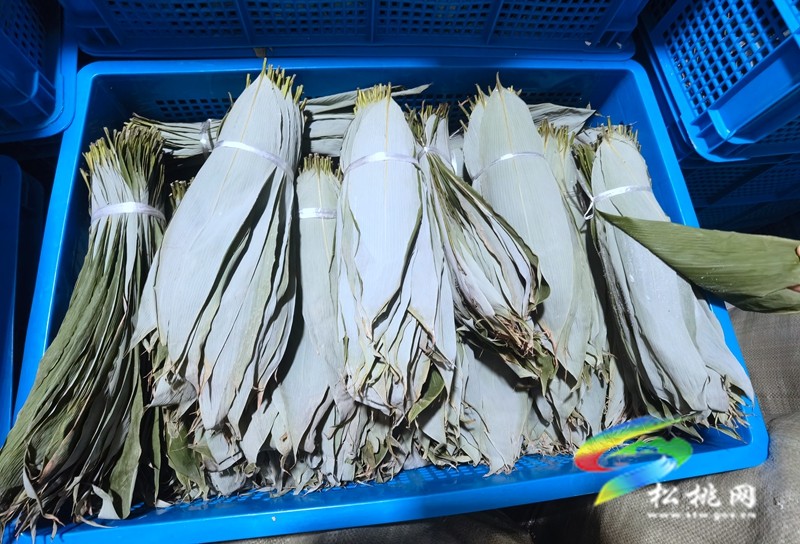 瓦溪鄉(xiāng)：巧打生態(tài)牌 粽葉變“金葉”