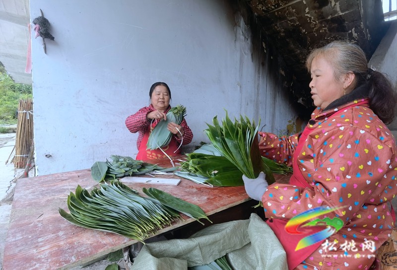 瓦溪鄉(xiāng)：巧打生態(tài)牌 粽葉變“金葉”