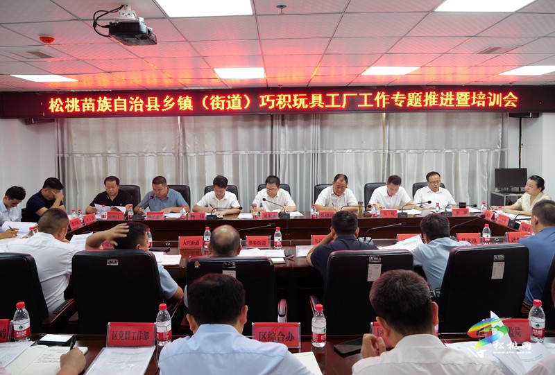 松桃苗族自治縣鄉(xiāng)鎮(zhèn)（街道）巧積玩具工廠工作專題推進(jìn)暨培訓(xùn)會召開