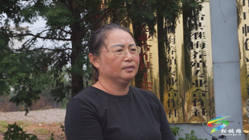 大興街道：自動(dòng)化蛋雞養(yǎng)殖 孵出群眾“致富蛋”