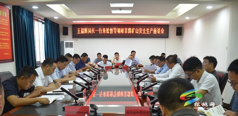 國(guó)家礦山安全監(jiān)察局貴州局來(lái)松督導(dǎo)調(diào)研非煤礦山安全生產(chǎn)工作
