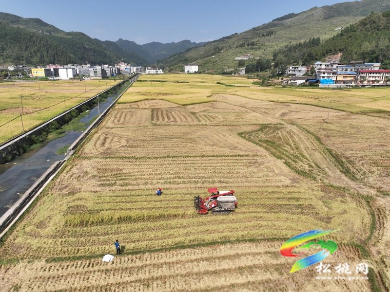 甘龍鎮(zhèn)：農機奏響“豐收曲” 沃野田疇煥新景