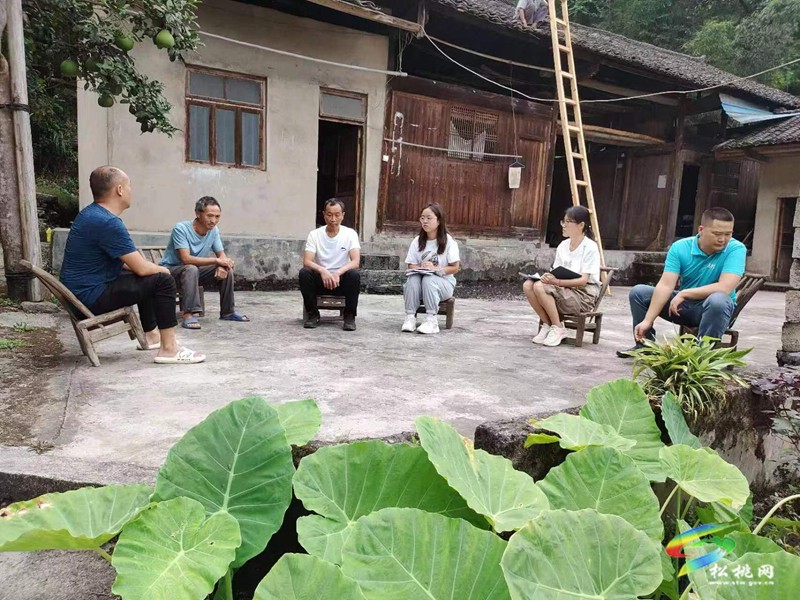 松桃寨英村：黨建引領(lǐng)聚合力 強村富民促振興