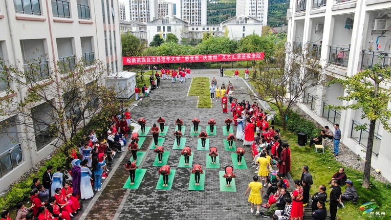 【網(wǎng)絡(luò)中國節(jié)·重陽】縣老年大學(xué)開展“感黨恩、慶重陽”文藝演出走進(jìn)敬老院活動(dòng)