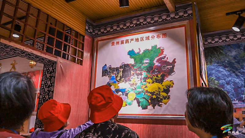 莞銅協(xié)作·東莞人游銅仁專列團(tuán)來我縣游苗王城
