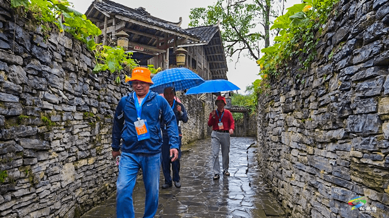 莞銅協(xié)作·東莞人游銅仁專列團(tuán)來我縣游苗王城