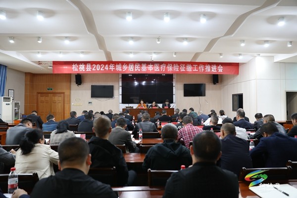 松桃2024年城鄉(xiāng)居民基本醫(yī)療保險征繳工作推進(jìn)會召開