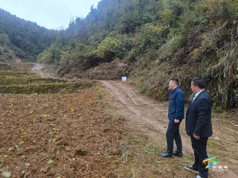 陳琪到瓦溪永安調(diào)研督導(dǎo)耕地保護(hù)和糧食安全工作