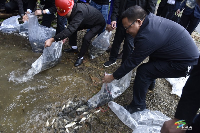 松桃：山水林田湖草沙修復項目魚苗投放