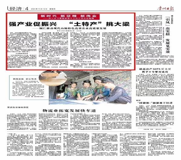 外媒看松桃  新鮮出爐！松桃2023年10月外宣成績單來啦！