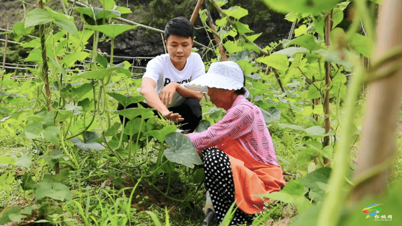 甘龍鎮(zhèn)：筑巢引鳳聚人才  鄉(xiāng)村振興添動能