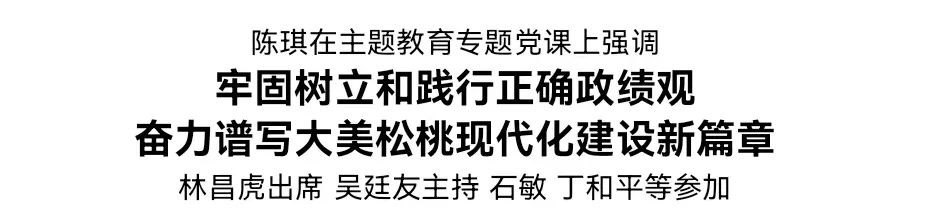 陳琪為全縣黨員干部講專題黨課