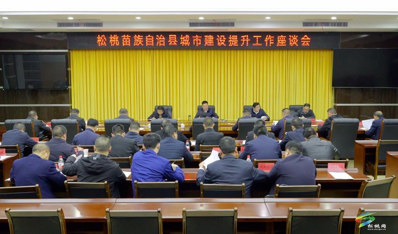 陳琪率縣四家班子領(lǐng)導(dǎo)調(diào)研城市建設(shè)提升工作