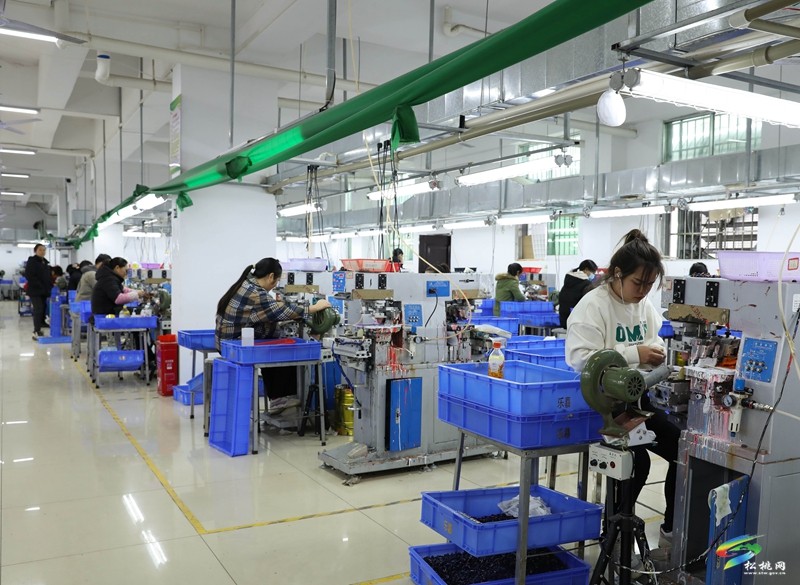 正大鎮(zhèn)微工廠：家門口就業(yè)促增收