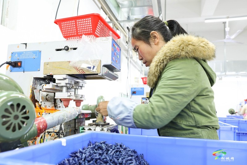 正大鎮(zhèn)微工廠：家門口就業(yè)促增收