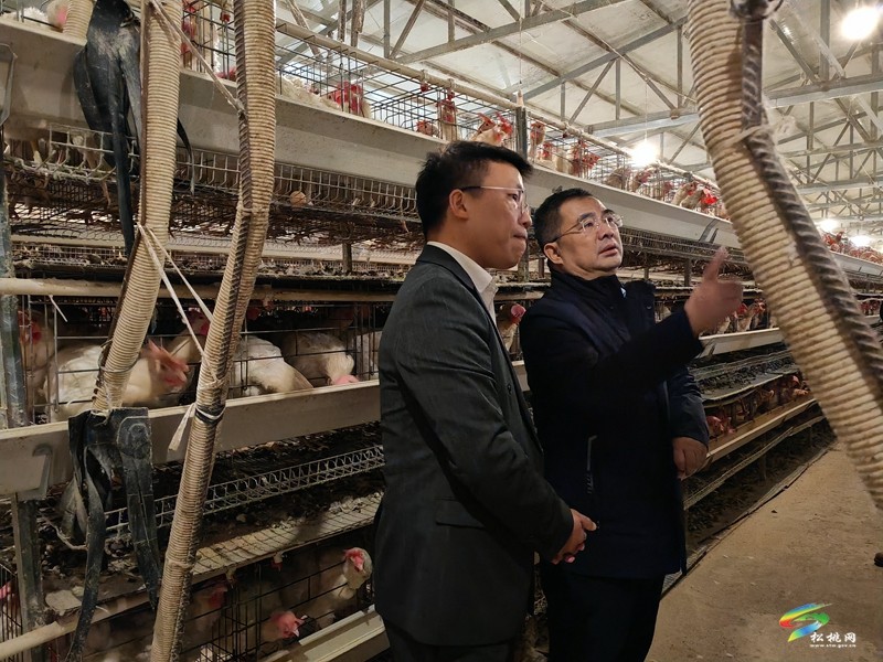 中國振華電子集團有限公司來松開展鄉(xiāng)村振興幫扶調(diào)研交流活動