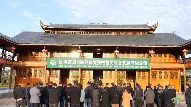 【清廉松桃】我縣召開(kāi)“清廉村居”推進(jìn)會(huì)暨現(xiàn)場(chǎng)觀摩會(huì)