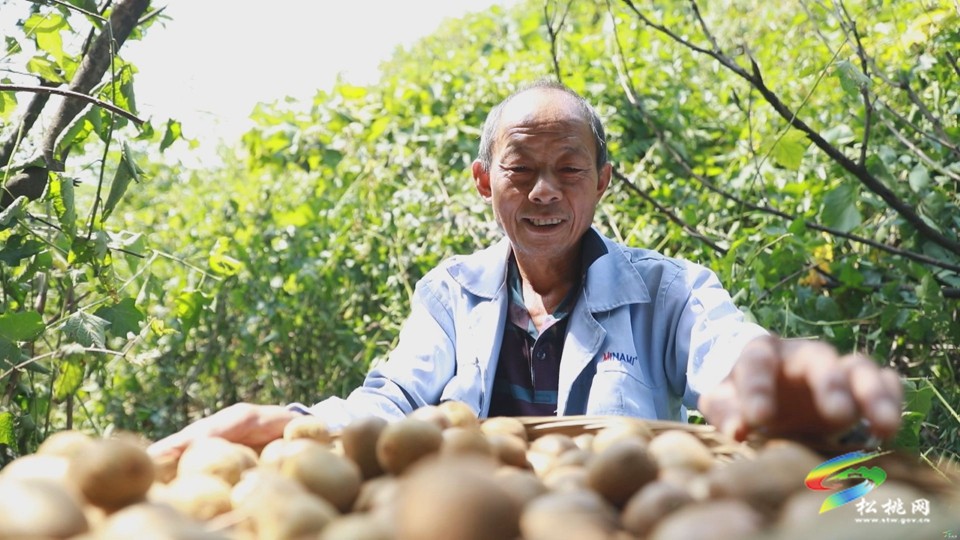 松桃?guī)r桑壩村：黨建引領(lǐng)聚合力強(qiáng)村富民促振興