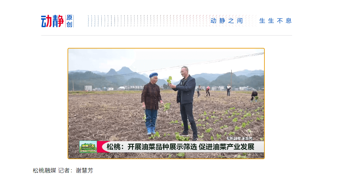 新鮮出爐！松桃2023年11月外宣成績單來啦！