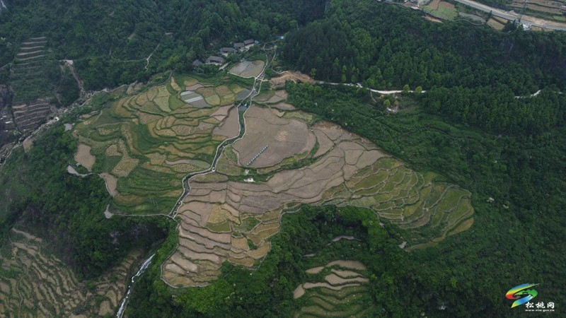 G352長坪(黔湘界)至松桃公路改擴(kuò)建工程順利通過竣工驗收