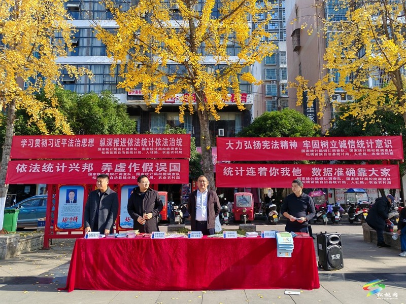 松桃開(kāi)展慶?!吨腥A人民共和國(guó)統(tǒng)計(jì)法》頒布40周年集中宣傳活動(dòng)