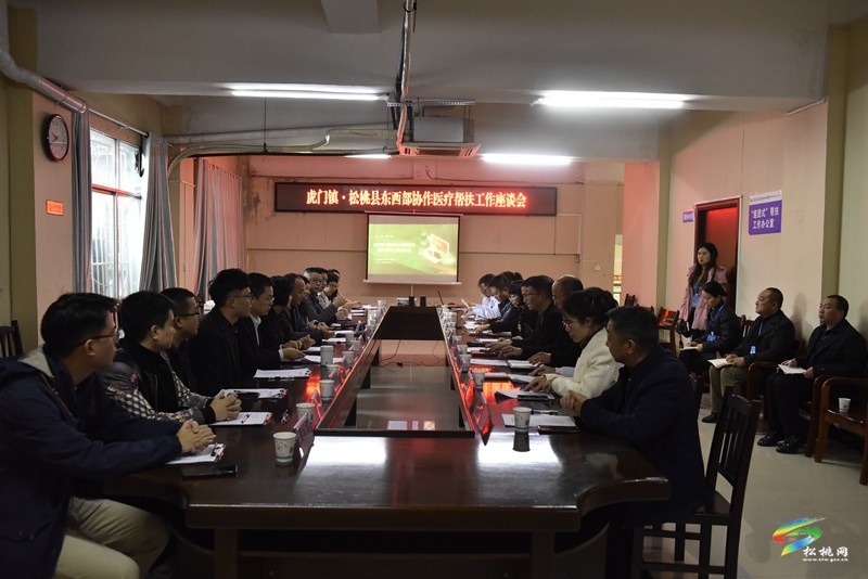 莞銅協(xié)作共同發(fā)力·虎門醫(yī)療團來松調(diào)研考察