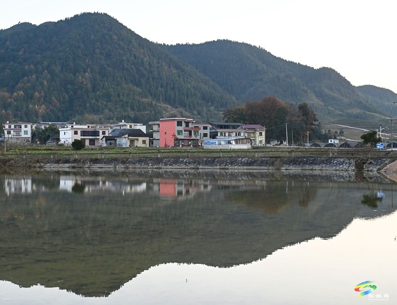 松桃普覺：和美鄉(xiāng)村展畫卷 茶尖溢出幸福來