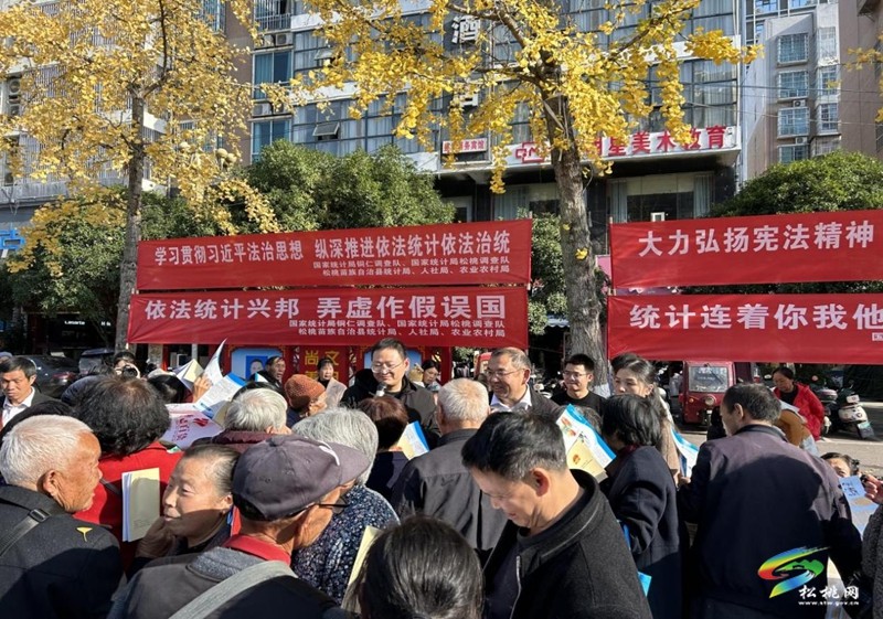 國家統(tǒng)計(jì)局松桃調(diào)查隊(duì):多形式開展“憲法宣傳周”宣傳活動
