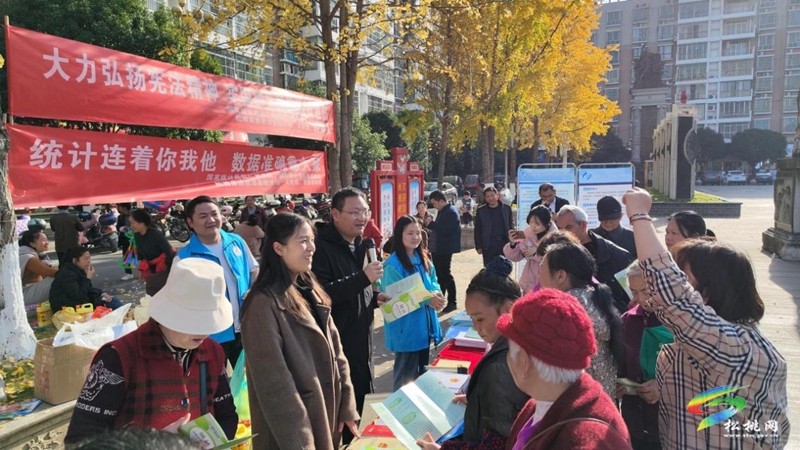 國家統(tǒng)計(jì)局松桃調(diào)查隊(duì):多形式開展“憲法宣傳周”宣傳活動