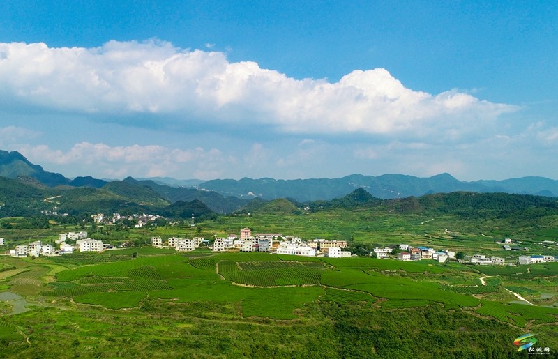 世昌街道:“小積分”撬動農(nóng)村人居環(huán)境整治大提升