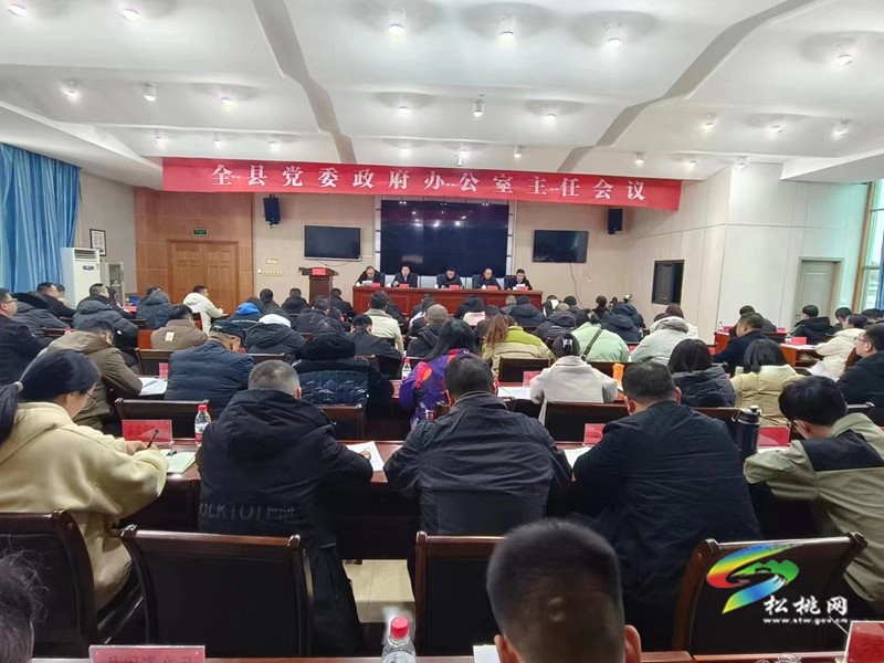 全縣黨委政府辦公室主任會(huì)議召開陳琪作批示