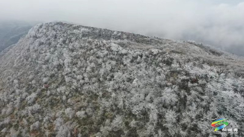 臘爾山美景如畫