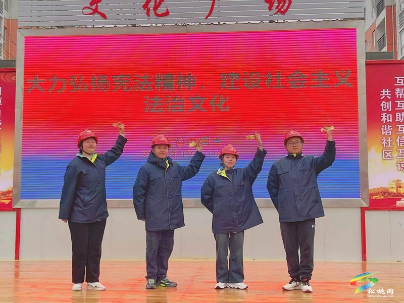 銅仁供電局在我縣大興街道開展普法活動