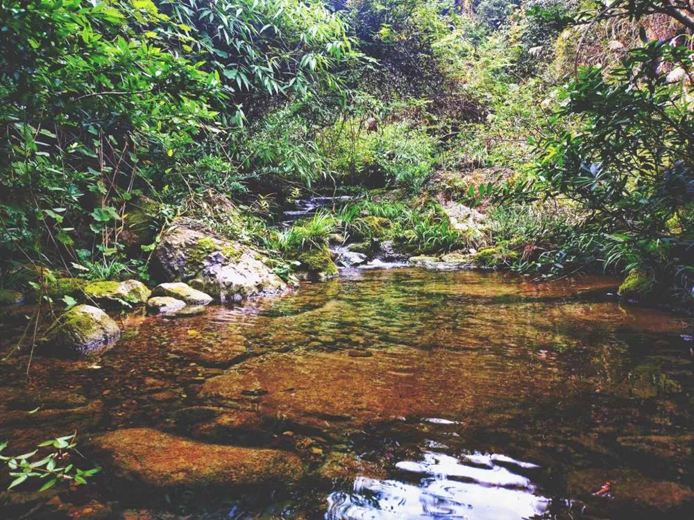 秀山宋農(nóng)鎮(zhèn)石家溝：被遺落的人間秘境