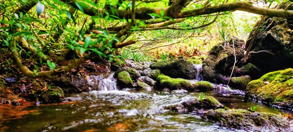 秀山宋農(nóng)鎮(zhèn)石家溝：被遺落的人間秘境