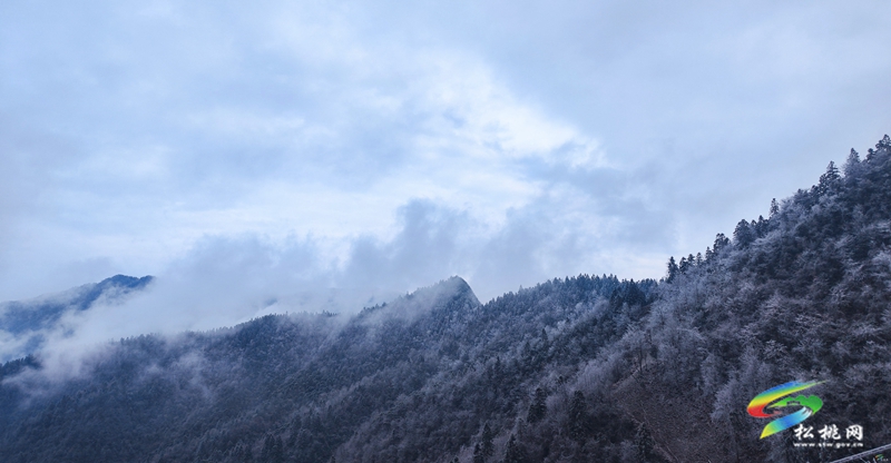 烏羅鎮(zhèn)：冬景美如畫