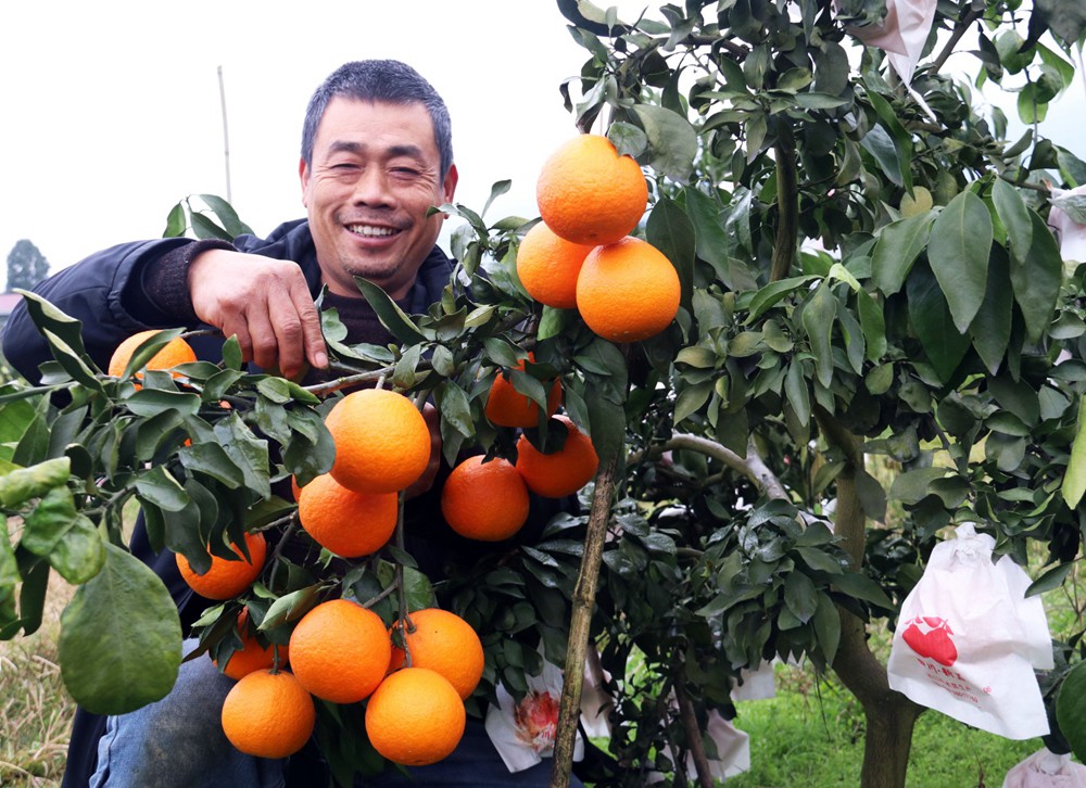 魯渝一家親丨秀山8000萬元農(nóng)特產(chǎn)品銷往山東
