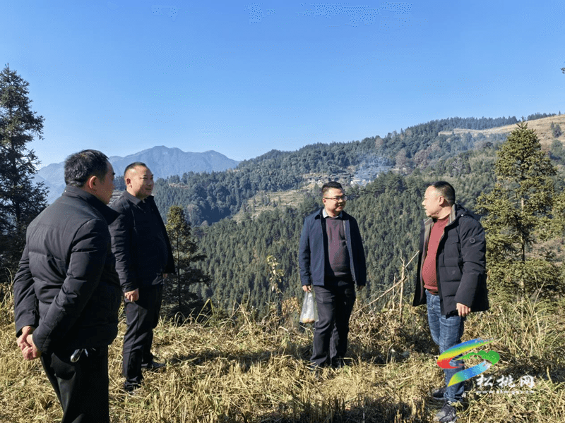 普覺(jué)鎮(zhèn)持續(xù)開(kāi)展歲末年初森林防火巡查工作