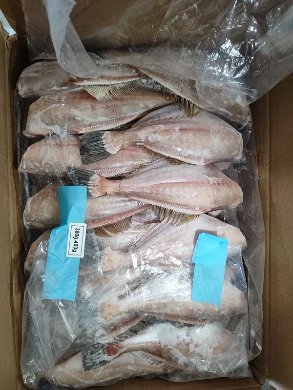 斯里蘭卡馬面魚首個(gè)冷鏈集裝箱抵達(dá)秀山