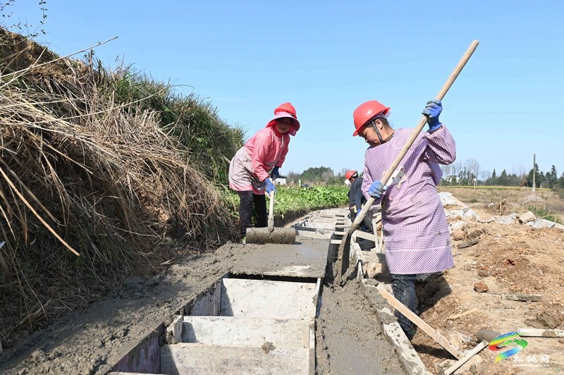 松桃：全力推進亞行項目建設??不斷完善農(nóng)業(yè)基礎設施
