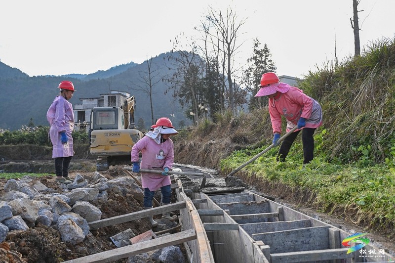 松桃：全力推進亞行項目建設??不斷完善農(nóng)業(yè)基礎設施