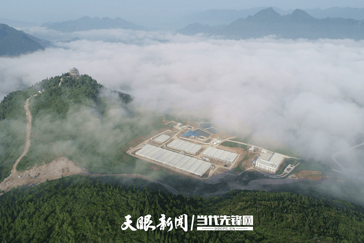 松桃：上半年實現綜合產值達14.88億元！“全國生豬調出大縣”全產業(yè)鏈條建設闊步向前