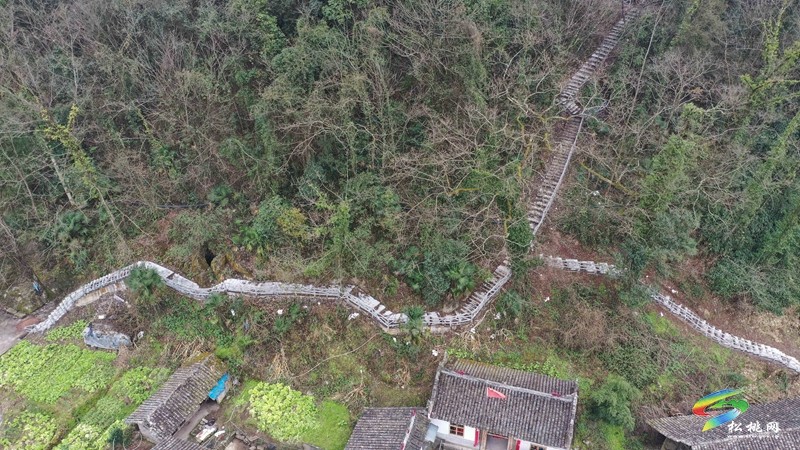 松桃：大力實施以工代賑 促進村民增收致富