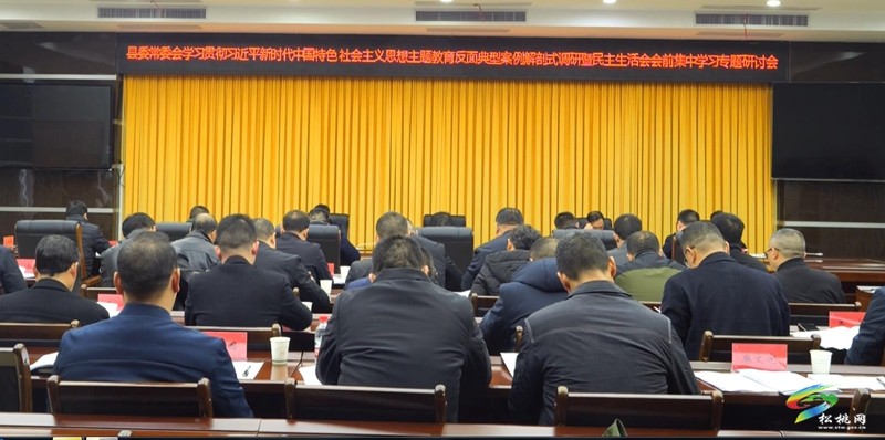 縣委常委會學習貫徹習近平新時代中國特色社會主義思想主題教育反面典型案例解剖式調(diào)研暨民主生活會會前集中學習專題研討會召開