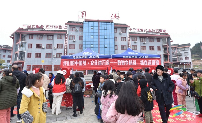 “新春送祝福·文化進(jìn)萬家”活動走進(jìn)團(tuán)山社區(qū)