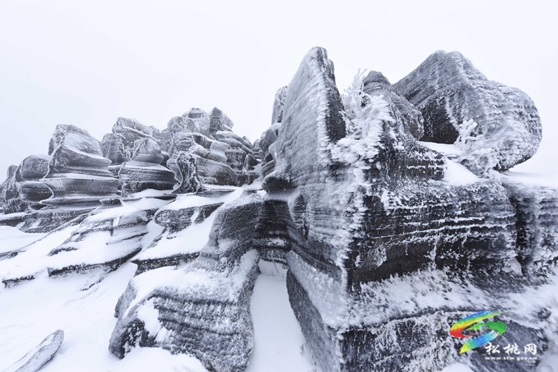 松桃：紅石林雪景美如畫