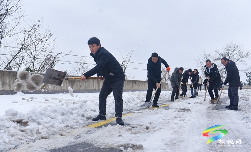 松桃：黨員除雪保暢迎春節(jié)
